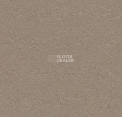 Линолеум Forbo Marmoleum Bulletin Board 2208 mushroom medley фото 1 | FLOORDEALER