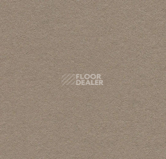 Линолеум Forbo Marmoleum Bulletin Board 2208 mushroom medley фото 1 | FLOORDEALER