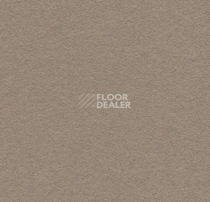 Линолеум Forbo Marmoleum Bulletin Board 2208 mushroom medley фото 1 | FLOORDEALER