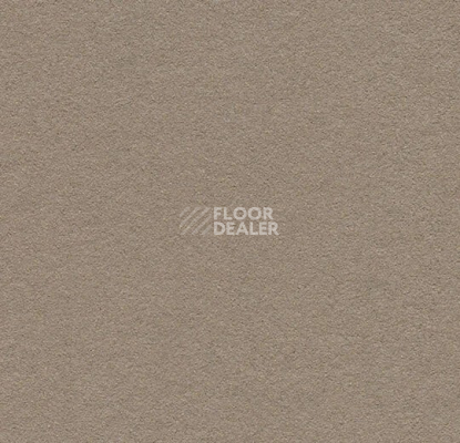 Линолеум Forbo Marmoleum Bulletin Board 2208 mushroom medley фото 1 | FLOORDEALER