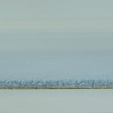 Ковролин Vorwerk Modena 3m29  | FLOORDEALER