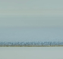 Ковролин Vorwerk Modena 3m29 фото 1 | FLOORDEALER