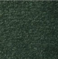 Ковролин Emphatic Beaulieu of America 56366 фото 1 | FLOORDEALER