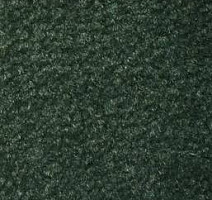 Ковролин Emphatic Beaulieu of America 56366 фото 1 | FLOORDEALER