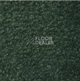 Ковролин Emphatic Beaulieu of America 56366 фото 1 | FLOORDEALER