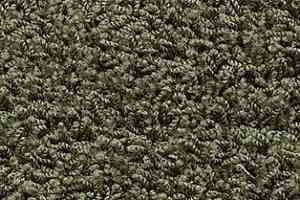 Ковролин AW Harlem 24 фото  | FLOORDEALER