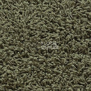 Ковролин AW Harlem 24 фото 1 | FLOORDEALER