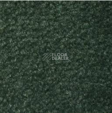 Ковролин Emphatic Beaulieu of America 56366 фото 1 | FLOORDEALER