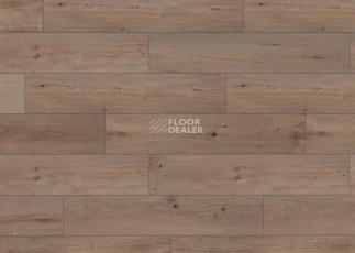 Terhurne Trend Line 243мм 1915 Дуб Виски Лаундж 1101020900 фото 3 | FLOORDEALER