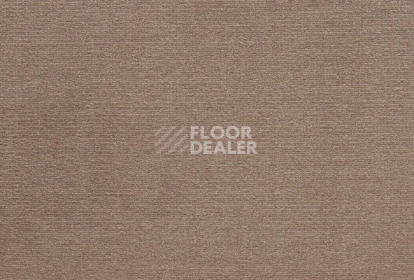 Ковролин ITC Roxane 38 фото 1 | FLOORDEALER