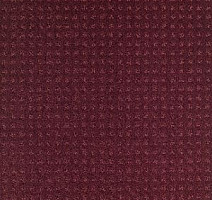 Ковролин Balsan Territoires Atrium 881 фото 1 | FLOORDEALER