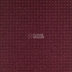 Ковролин Balsan Territoires Atrium 881 фото 1 | FLOORDEALER