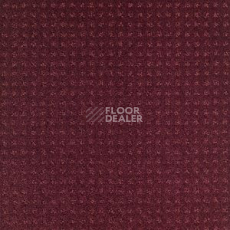 Ковролин Balsan Territoires Atrium 881 фото 1 | FLOORDEALER