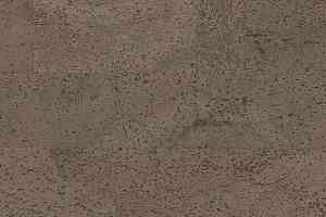 Пробковое покрытие Cork Pro Fantasie March фото  | FLOORDEALER