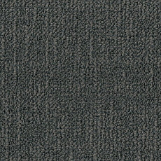 DESSO Airmaster Salina 9523 фото 1 | FLOORDEALER