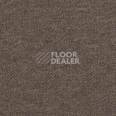 Ковровая плитка DESSO Airmaster Tierra 9096 фото 1 | FLOORDEALER