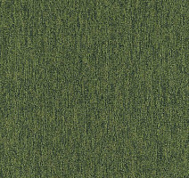 Ковровая плитка Interface Output Loop/Lines Loop 4219014 фото 1 | FLOORDEALER