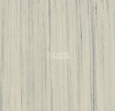 Линолеум Forbo Marmoleum Неожиданная природа 3576 фото 1 | FLOORDEALER