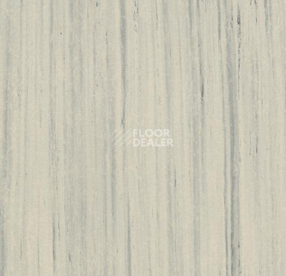 Линолеум Forbo Marmoleum Неожиданная природа 3576 фото 1 | FLOORDEALER