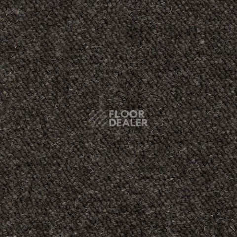 Ковролин Creatuft Greenwich 25 Loam фото 1 | FLOORDEALER