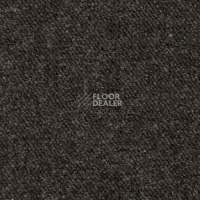 Ковролин Creatuft Greenwich 25 Loam фото 1 | FLOORDEALER