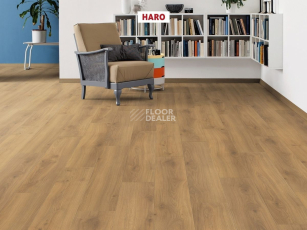 Haro Tritty 100 Campus 4V ДУБ ЭМИЛИЯ МЕДОВЫЙ 541541 фото 3 | FLOORDEALER