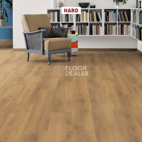 Haro Tritty 100 Campus 4V ДУБ ЭМИЛИЯ МЕДОВЫЙ 541541 фото 3 | FLOORDEALER