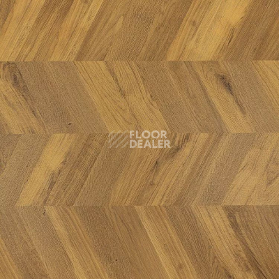 Линолеум Novoflor Extra Mars 2450-1 фото 1 | FLOORDEALER