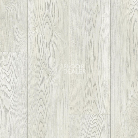 Линолеум Tarkett Bonus Nero 1 фото 1 | FLOORDEALER