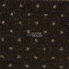 Ковролин Ambassador Associated Weavers 98 фото 1 | FLOORDEALER