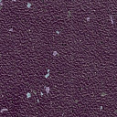 Линолеум Stop F 2.5 5980-956-05-263  | FLOORDEALER