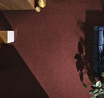 Vorwerk Exclusive1009/Elara 1m16 фото 5 | FLOORDEALER