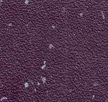 Линолеум Stop F 2.5 5980-956-05-263 фото 1 | FLOORDEALER