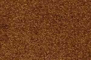 Ковролин AW Masquerade Porzia 80 фото  | FLOORDEALER