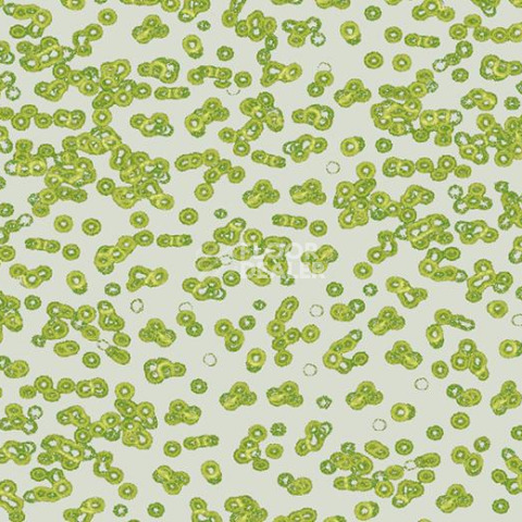 Ковролин Forbo Flotex Sottsass Bacteria 990203 фото 1 | FLOORDEALER