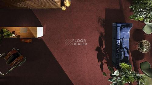 Vorwerk Exclusive1009/Elara 1m16 фото 5 | FLOORDEALER