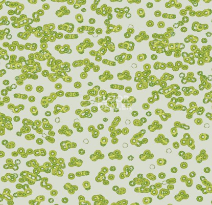 Ковролин Forbo Flotex Sottsass Bacteria 990203 фото 1 | FLOORDEALER