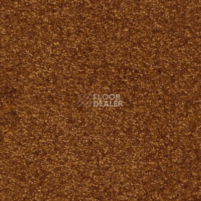 Ковролин AW Masquerade Porzia 80 фото 1 | FLOORDEALER
