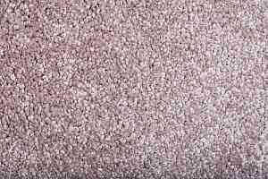 Ковролин Tarkett Diva 80981 фото  | FLOORDEALER