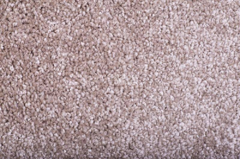 Ковролин Tarkett Diva 80981 фото 1 | FLOORDEALER