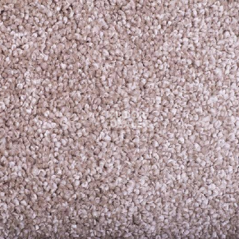 Ковролин Tarkett Diva 80981 фото 1 | FLOORDEALER