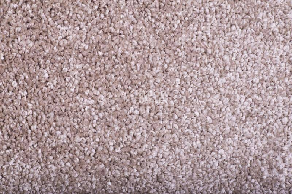 Ковролин Tarkett Diva 80981 фото 1 | FLOORDEALER