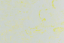 Forbo Marmoleum Solid Concrete 3736-373635 green shimmer фото 1 | FLOORDEALER