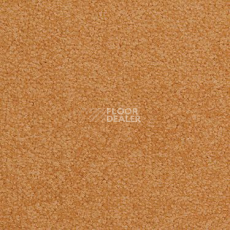Ковровая плитка Modulyss Cambridge 224 фото 1 | FLOORDEALER