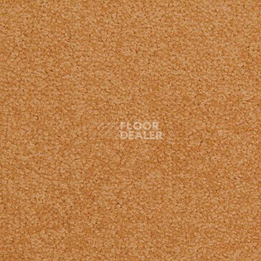 Ковровая плитка Modulyss Cambridge 224 фото 1 | FLOORDEALER