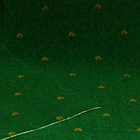 Ковролин Нева Тафт Pulman 600 фото 1 | FLOORDEALER