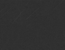 Ламинат Kronopol Platinium Paloma AQUA BLOCK 8mm Kronopol Platinium Paloma Aqua Block 24h Изысканный серый камень D4878 фото 1 | FLOORDEALER