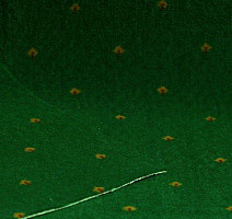 Ковролин Нева Тафт Pulman 600 фото 1 | FLOORDEALER