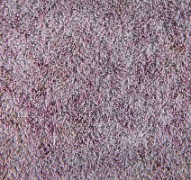 Flotex Colour Calgary 50*50 t 590017 Calgary Crystal фото 2 | FLOORDEALER