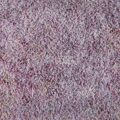 Forbo Flotex Colour Calgary 50*50 t 590017 Calgary Crystal фото 2 | FLOORDEALER